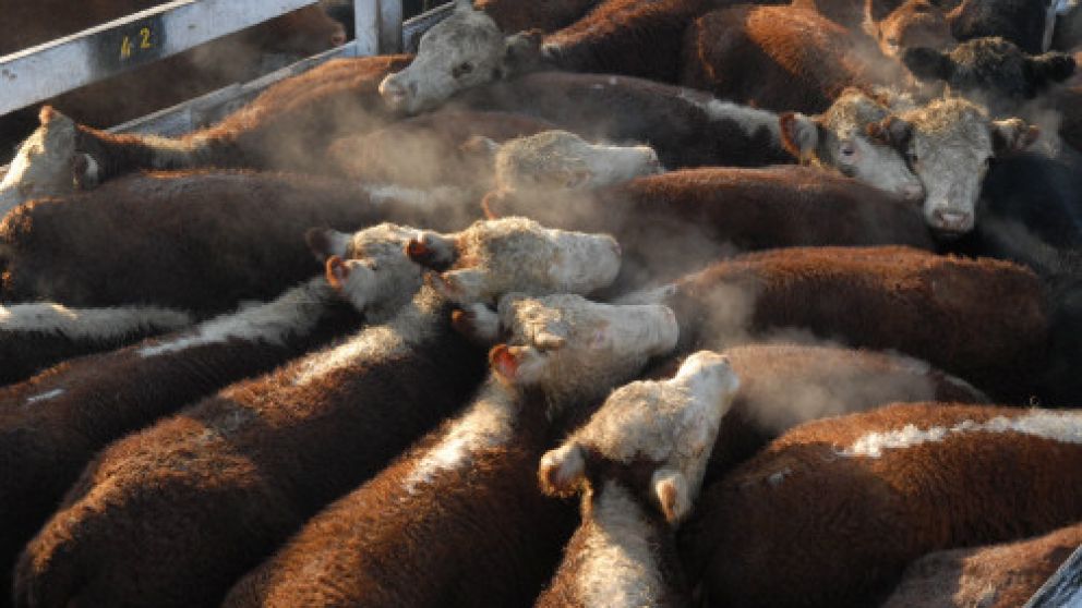 La venta en pie es m�s barata