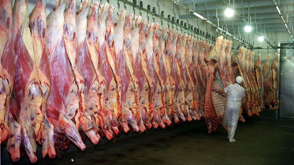 Exportaciones de carne vacuna fueron las más elevadas de los últimos nueve años