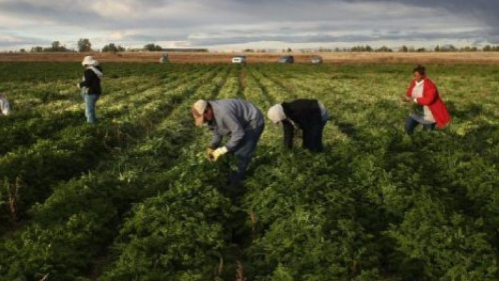 Agricultura y pesca entre los que mejoran