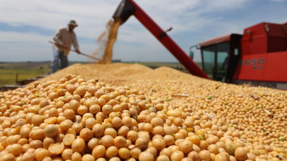Rusia prohibiría importar soja brasileña por su alto contenido de glifosato