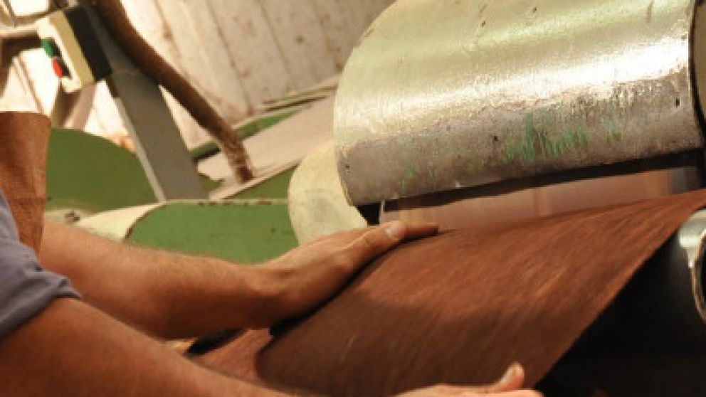 M�s importadores en el sector