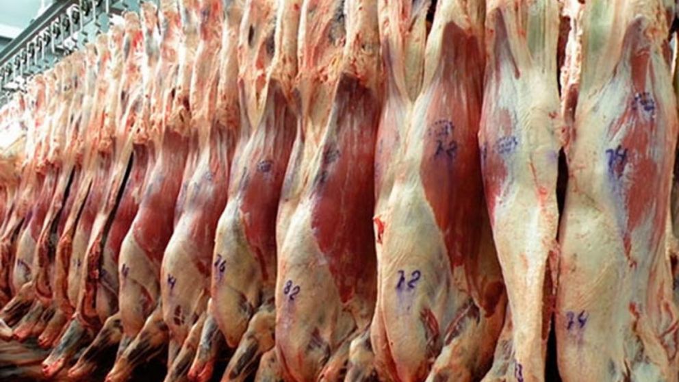 Luego de seis años, Argentina vuelve a exportar carne vacuna a Túnez