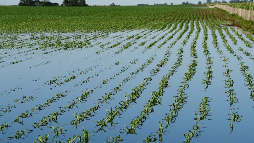 Inundaciones: Agroindustria promete estar cerca de los productores