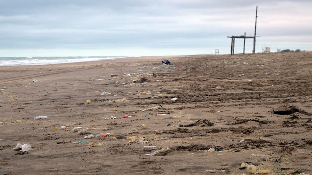 Una ONG analizó y categorizó los desechos en las playas de la costa local