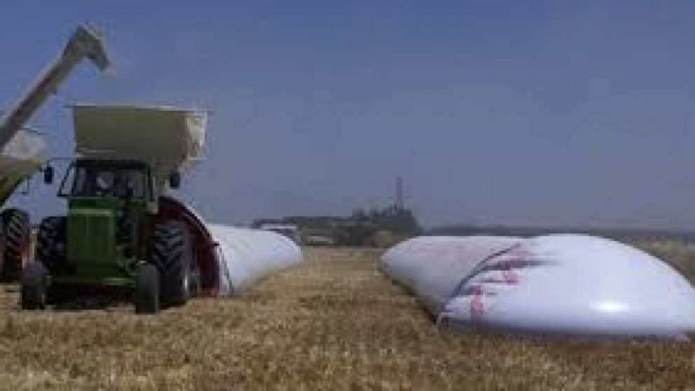 Los silobolsas jugarán un papel fundamental en 2019