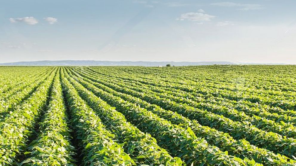 El campo recurri� a cooperativas y al canje para financiar la campa�a