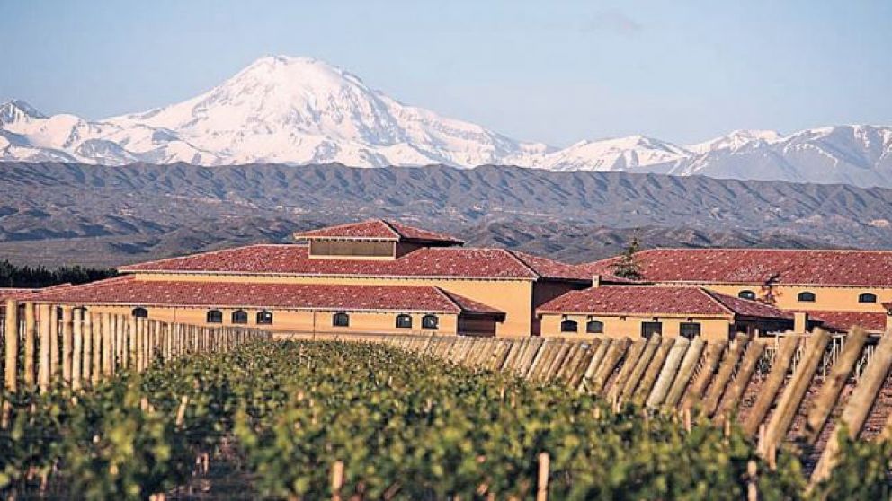 La producci�n cuyana lleva bien alto el vino argentino a las g�ndolas del mundo