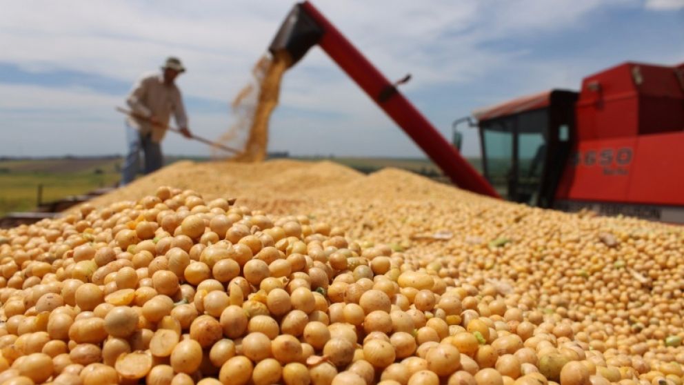 El presidente de Cartez criticó a las retenciones y el aumento inmobiliario rural