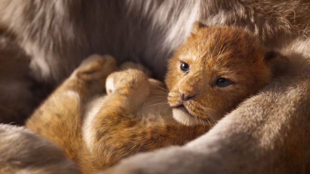 Hollywood apuesta en 2019 solo a secuelas, remakes y relanzamientos