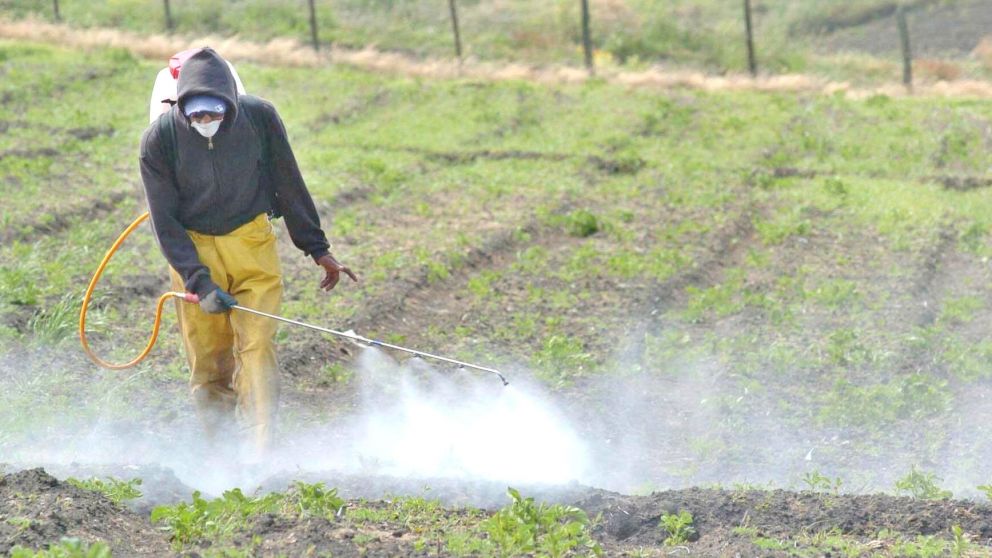 Las buenas pr�cticas agr�colas, es base para tener un menor impacto en el medio ambiente