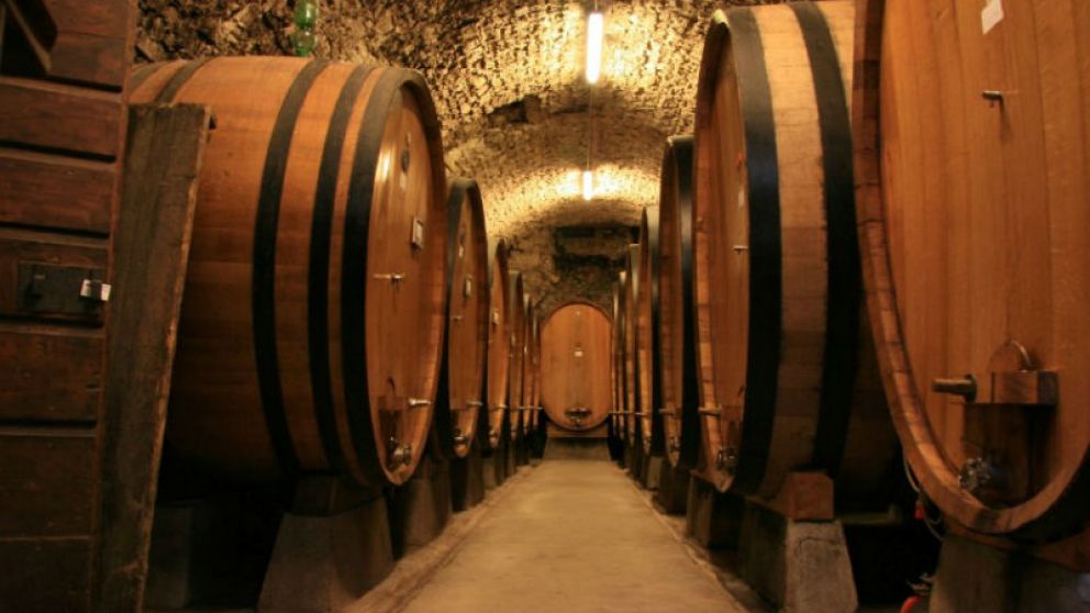 Bodegas más competitivas