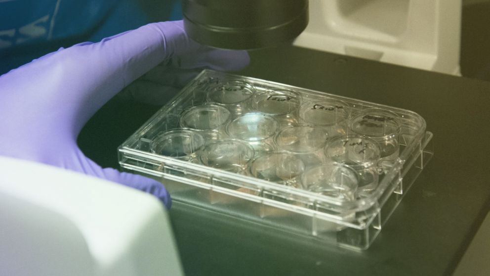 GSK busca potenciar diferentes investigaciones