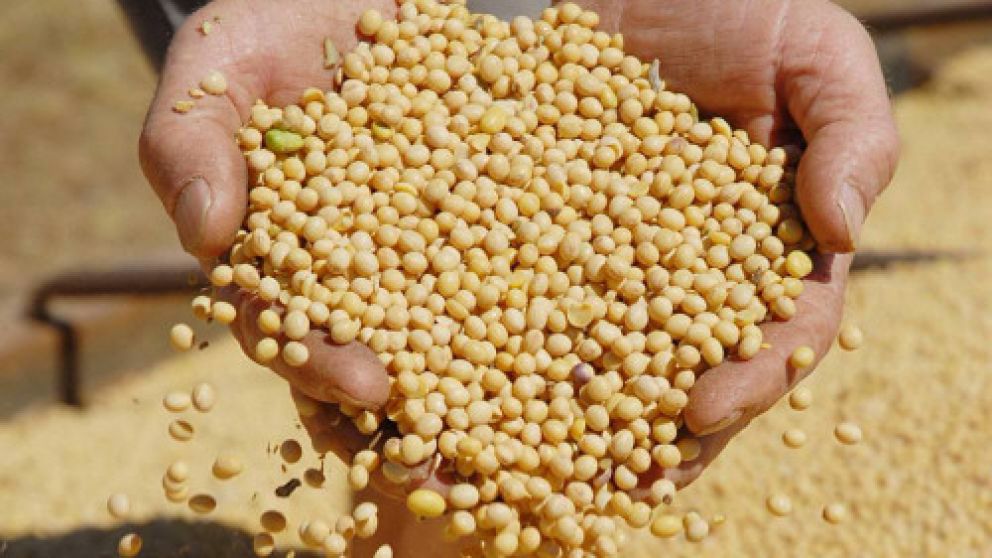 Hasta el momento sólo se exporta soja al país asiático