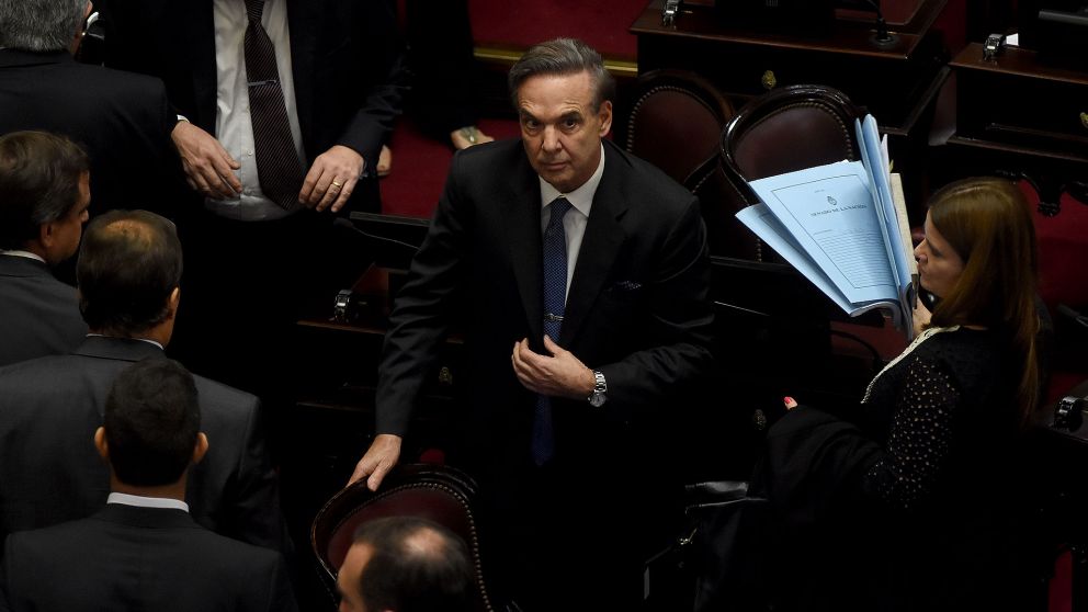 Pichetto sobre la contracumbre del G20: "Nos lleva a la Argentina de las villas, es la ideolog�a del pobrismo"