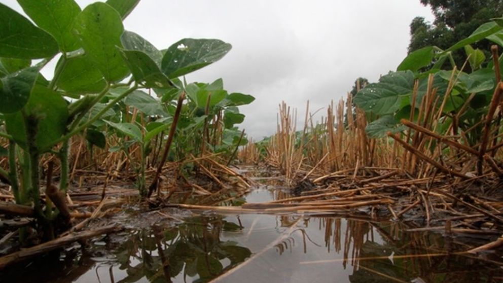 Las esperanzas están puestas en que el agua se despeje con rapidez
