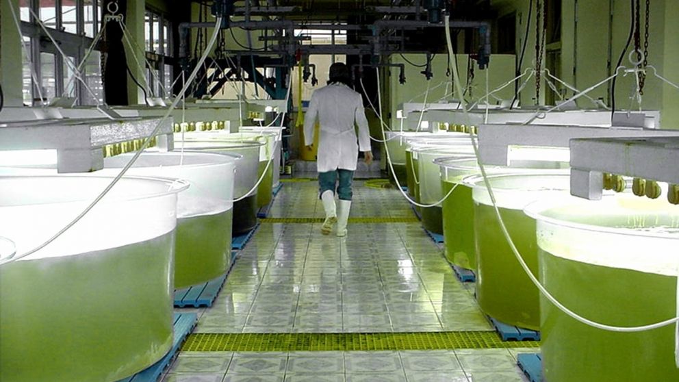 El Gobierno subi� hasta�8,34% los precios de los�biocombustibles