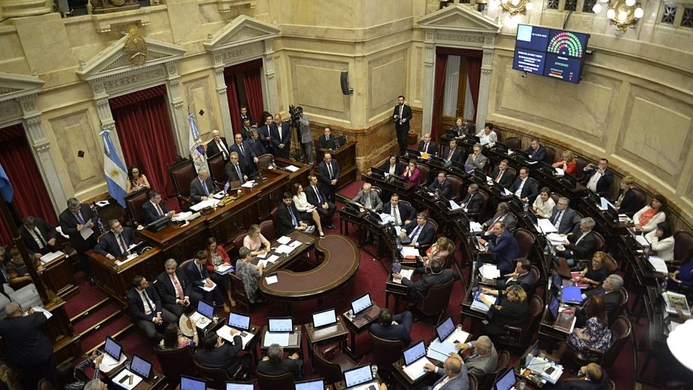 El ajuste es ley: el Senado aprobó el Presupuesto 2019