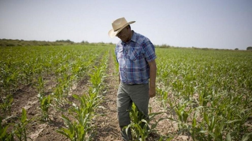 Los productores agropecuarios se quejaron de las altas tasas de interés, que restringe el acceso al crédito