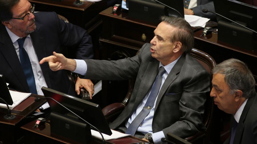 Pichetto, que votará a favor, aseguró que el Presupuesto 2019 es “de ajuste”