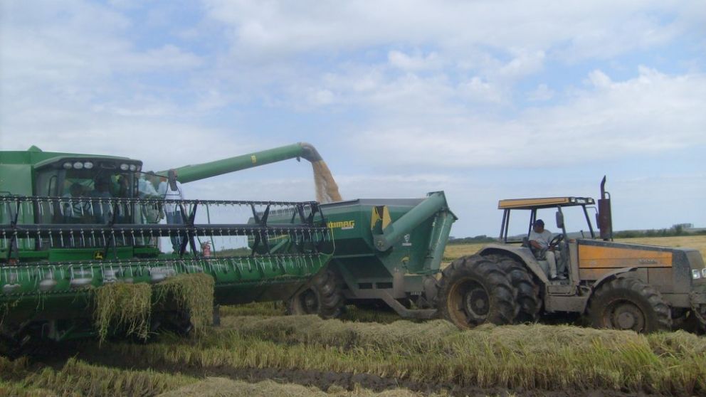 La industria arrocera se encuentra entre las más perjudicadas por la suba del combustible