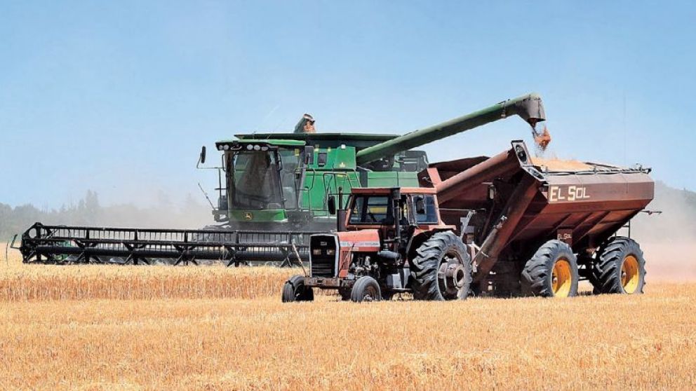 Llega la cosecha de trigo argentino y la hora de sacar cuentas