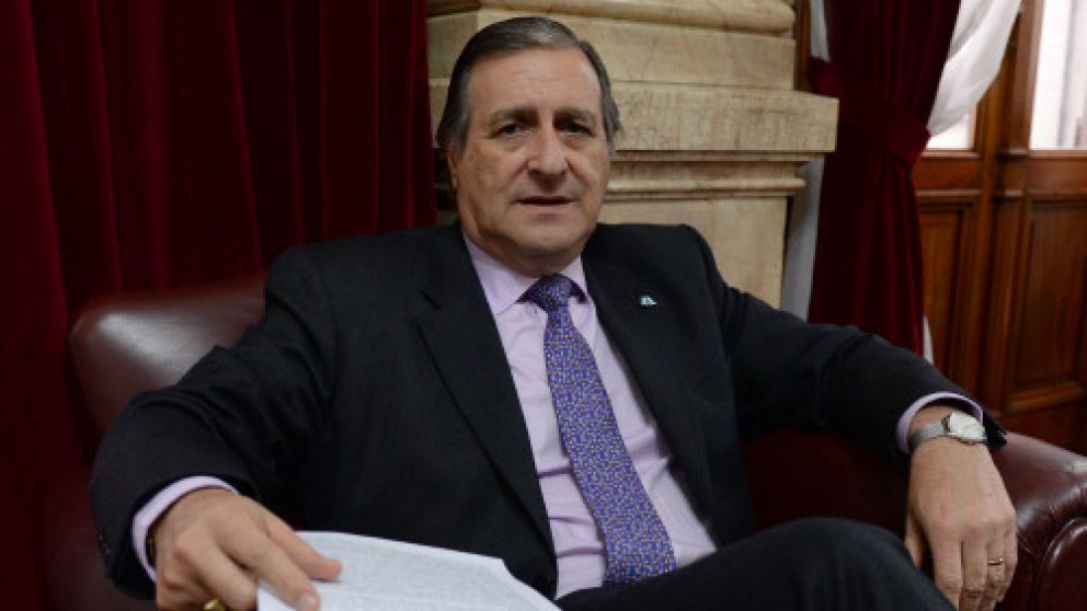 Rozas adelantó que se votará una ley especial