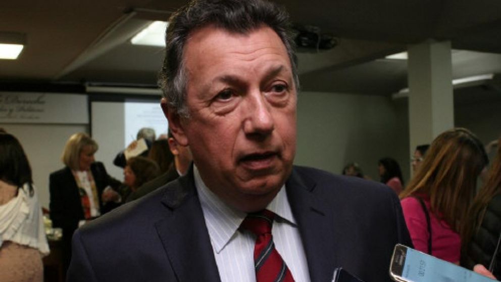 Dalla Vía dijo que la Cámara debe supervisar aportes