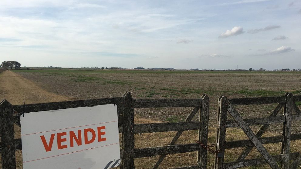 La actividad inmobiliaria rural retrocedió 25% en un año