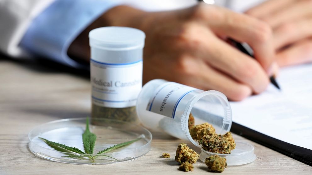 Inician ensayos médicos con aceite de cannabis en el Garrahan