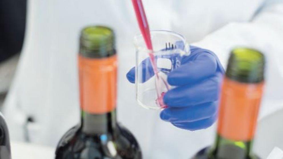 Del laboratorio a la copa