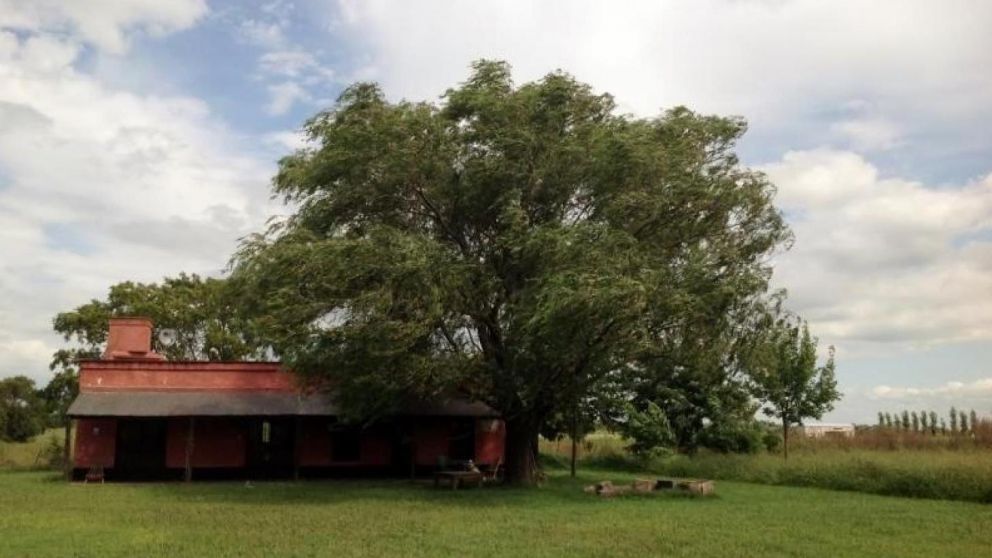 Inmuebles rurales no tributarán Bienes Personales