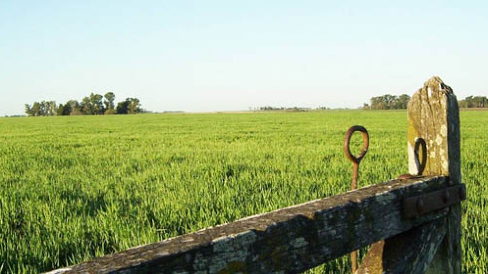 Crisis en la actividad inmobiliaria rural a causa de la devaluación