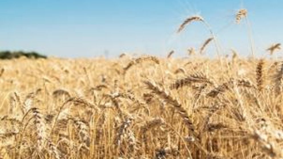 Arrancó la campaña