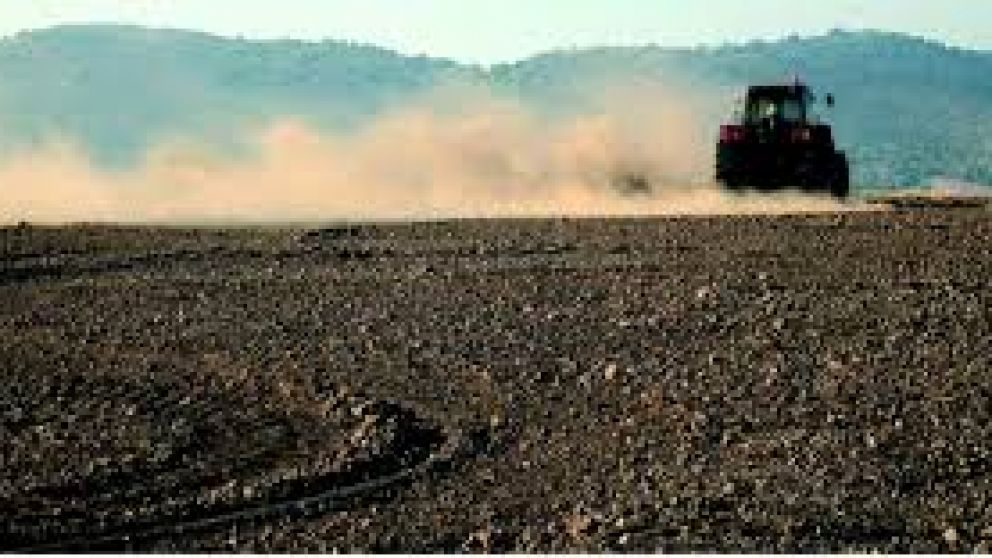 La desertificación crece a un ritmo alarmante en Argentina