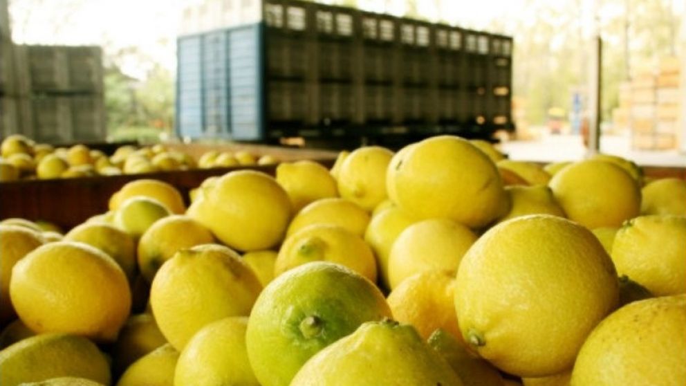 Argentina exportó casi 11 mil toneladas de limones a EE.UU.