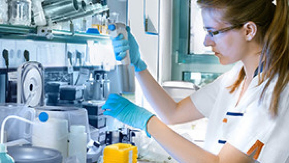 Se busca más transparencia