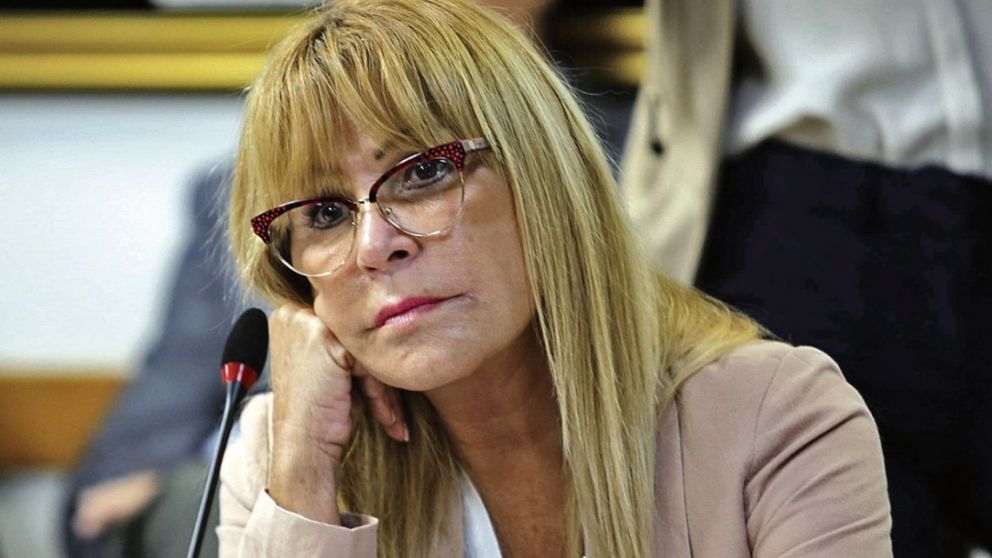 Ayala pedirá ella misma a la Cámara baja su desafuero