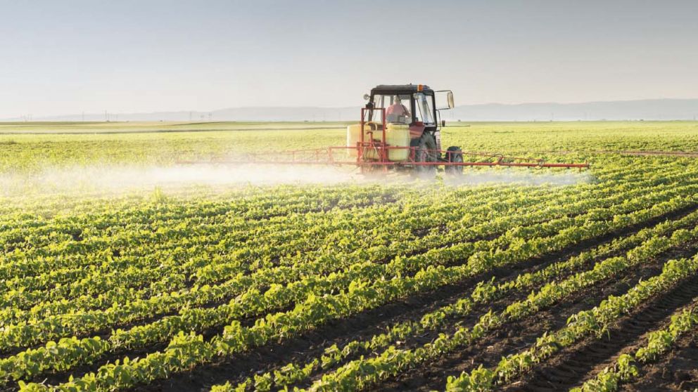 Buenos Aires espera cosechar más de 8 millones de toneladas en trigo