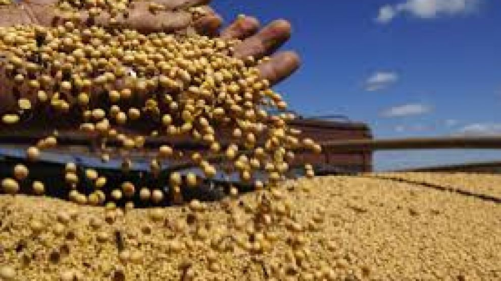 Más porotos para el gigante asiático