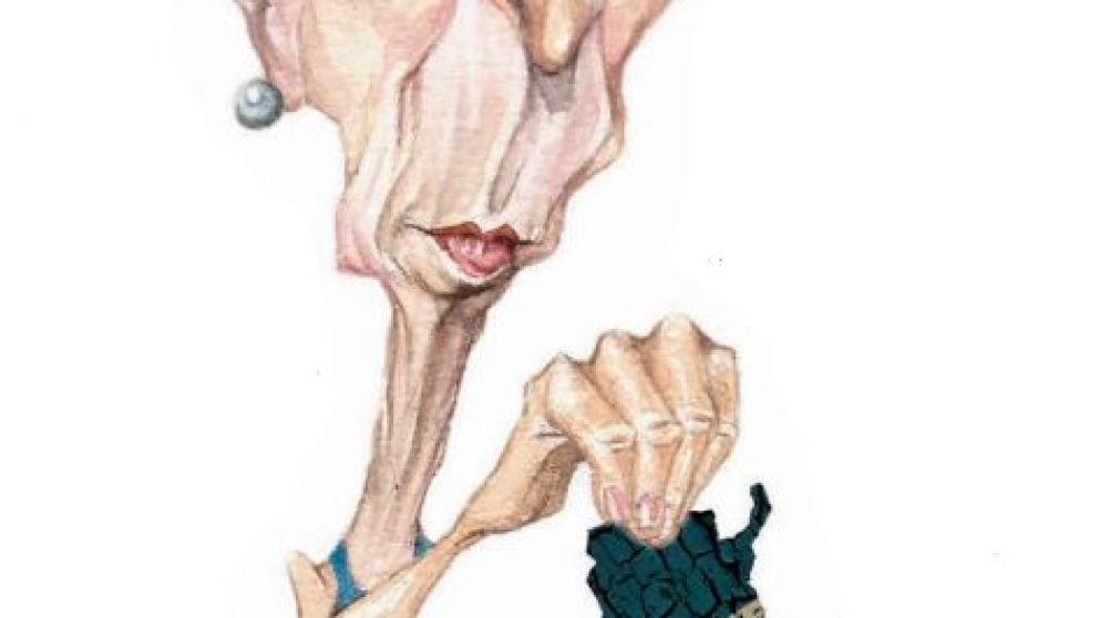 Macri quiere el dibujito para Lagarde pero cada uno piensa en su "game over"