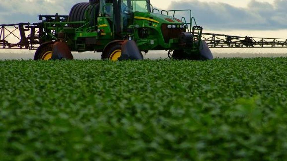 Mejora la condici�n de la soja: de cu�nto ser� la producci�n en esta campa�a 