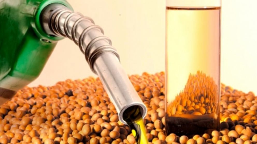 El Gobierno aumentó el precio del biodiesel