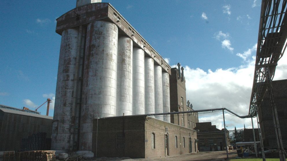 Denuncian a Molinos Cañuelas por posición dominante ante Defensa de la Competencia
