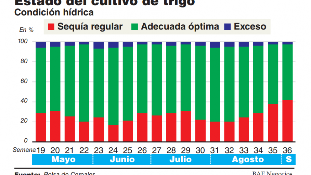 Trigo: sequ�a pone en riesgo 8,3 millones de toneladas