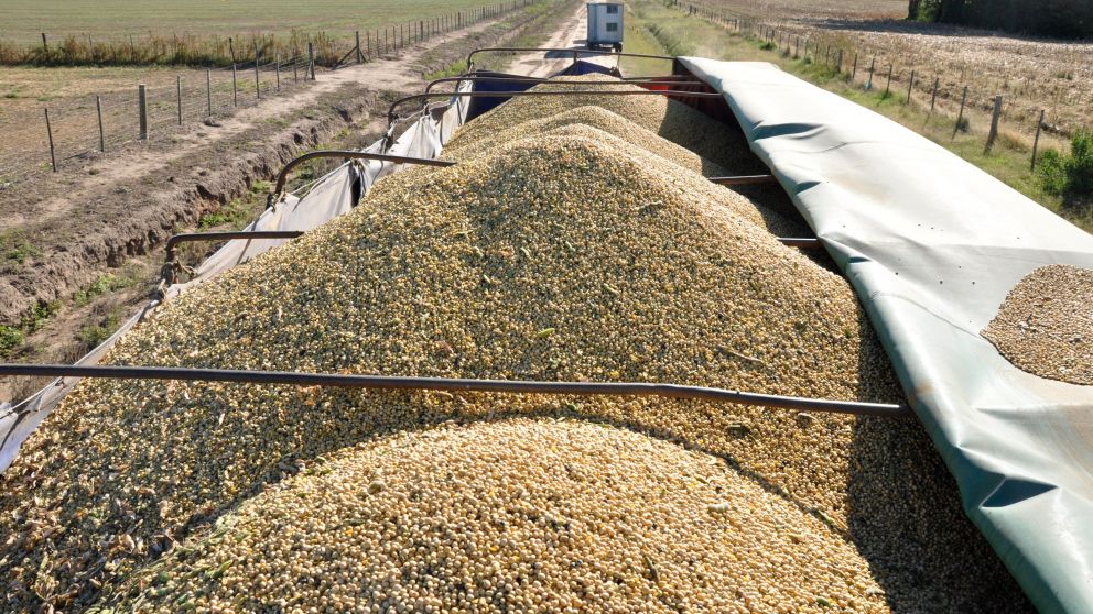 Cerealeras aprovecharon y adelantaron exportaciones por 6 millones de toneladas