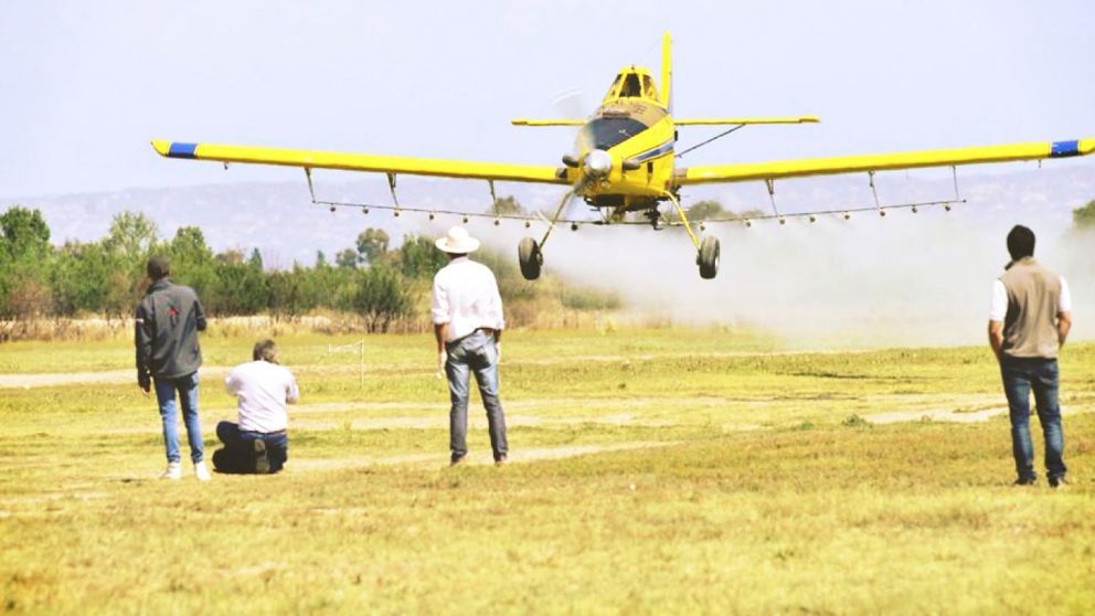Es necesaria una ley que permita armonizar las normativas a nivel nacional