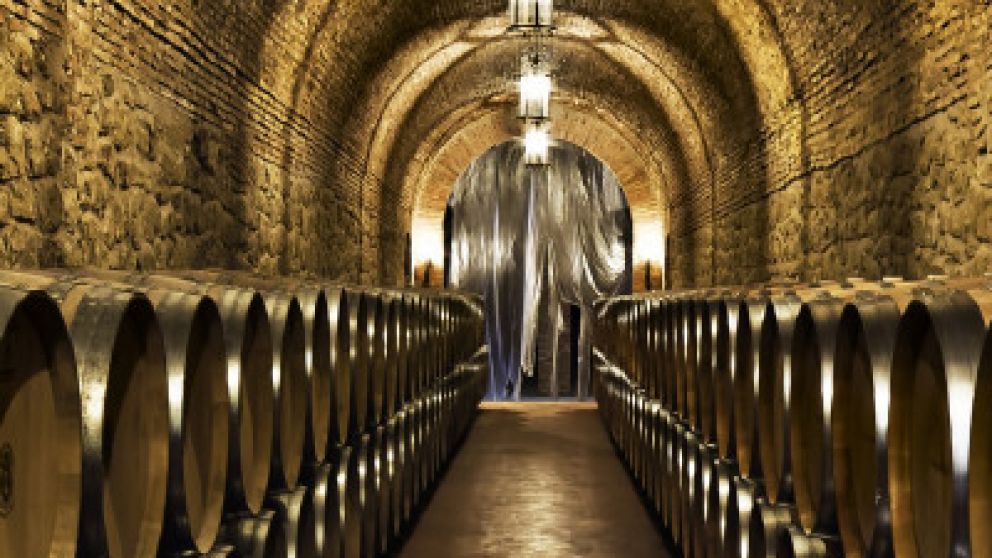 Bodegas, sin exenciones