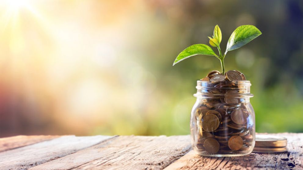 Implementarán los Principios de Préstamo Verdes en Argentina