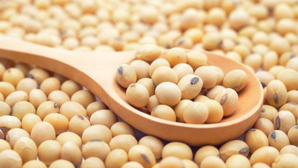 Tras la decisión del Gobierno, Diputados repudian la eliminación del Fondo Sojero