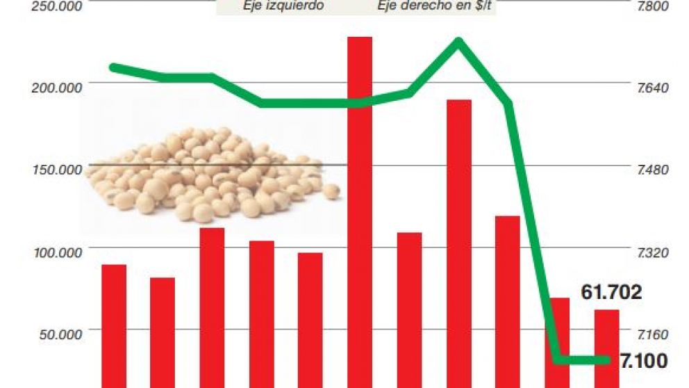 Se importaron 3 millones de toneladas de soja para molienda y presiona a la baja la cotización